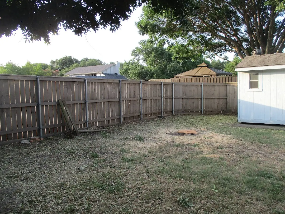 Cleared yard after professional tree removal in Wood