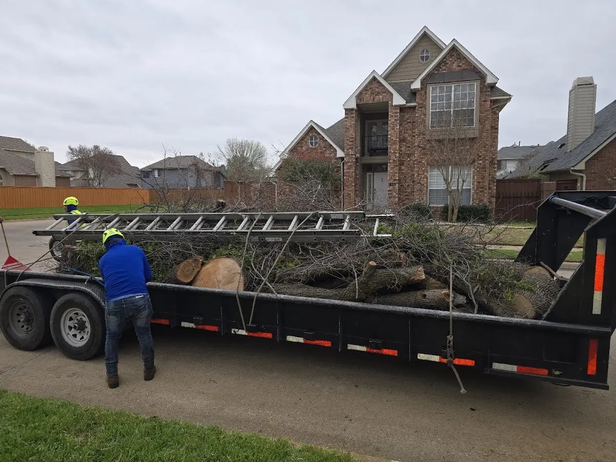 Expert Tree Fertilization with proper safety equipment in Wood
